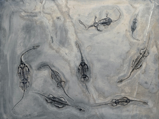 Documenta XIII, 9 June – 16 September 2012