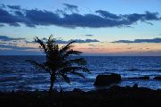 Foto: The Bungalow on the Beach