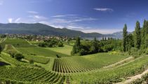 Foto: Fortress Towns and Gaillac Vineyards