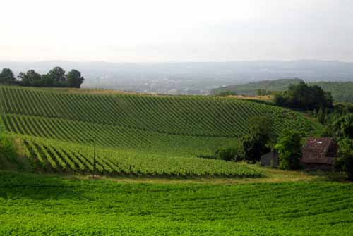 Fortress Towns and Gaillac Vineyards