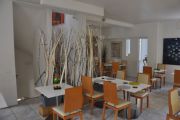 Foto: Les Bacchanales, Vence
