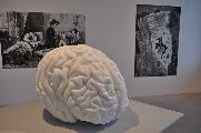 Foto: North Rhine-Westphalia Art Collection (Nordrhein-Westfalen Kunstsammlung)