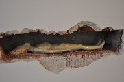 Foto: North Rhine-Westphalia Art Collection (Nordrhein-Westfalen Kunstsammlung)