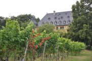 Foto: Wineries worth visiting