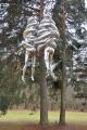 Foto: Ekeberg sculpture park