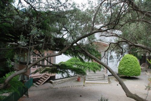 The Tchekhov Museum