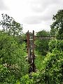 Foto: The Royal Botanic Gardens, Kew