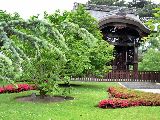 Foto: The Royal Botanic Gardens, Kew