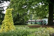 Foto: The Royal Botanic Gardens, Kew