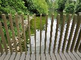 Foto: The Royal Botanic Gardens, Kew