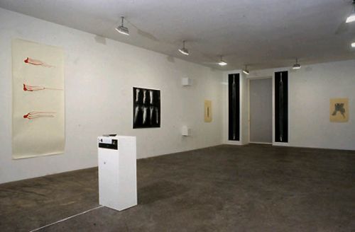 Casey Kaplan Gallery