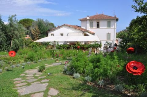 Les Bacchanales, Vence