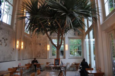 Orangerie